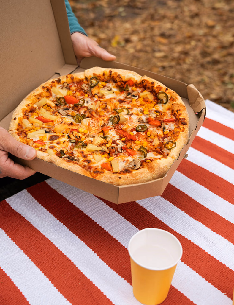 A pizza box held over a striped picnic blanket